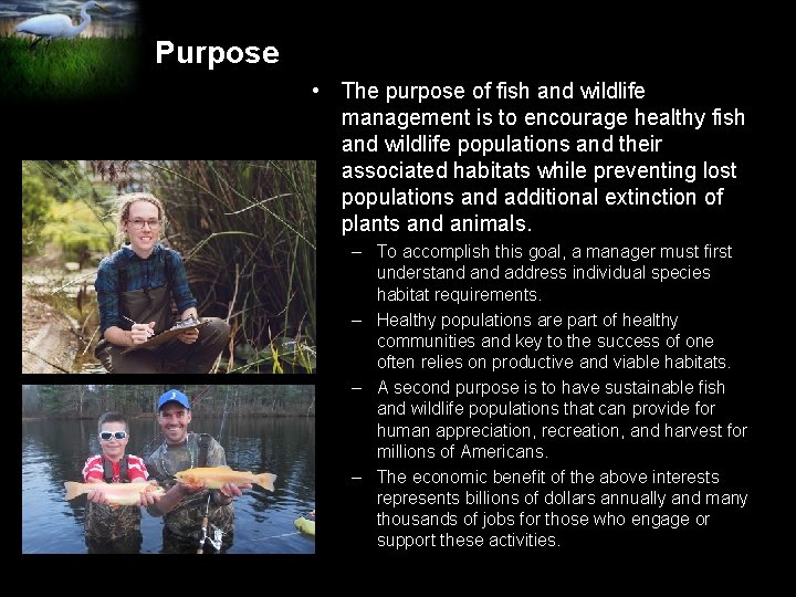 Purpose • The purpose of fish and wildlife management is to encourage healthy fish