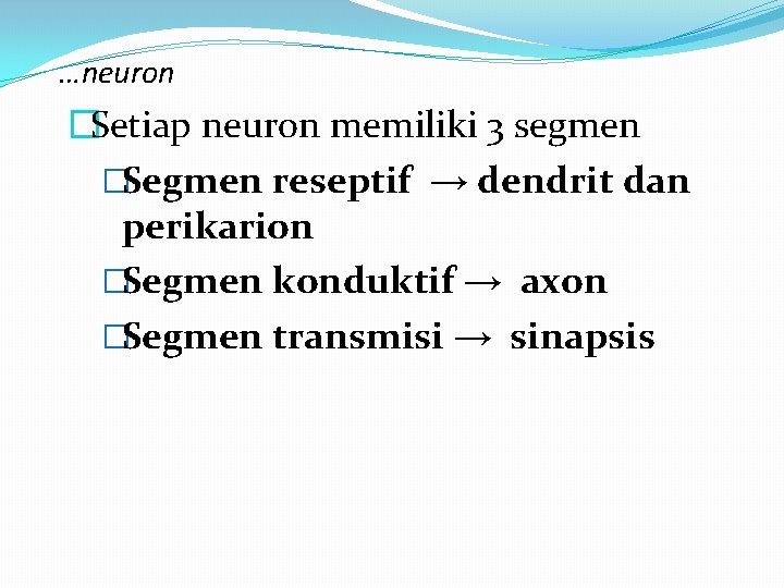 …neuron �Setiap neuron memiliki 3 segmen �Segmen reseptif → dendrit dan perikarion �Segmen konduktif …neuron �Setiap neuron memiliki 3 segmen �Segmen reseptif → dendrit dan perikarion �Segmen konduktif
