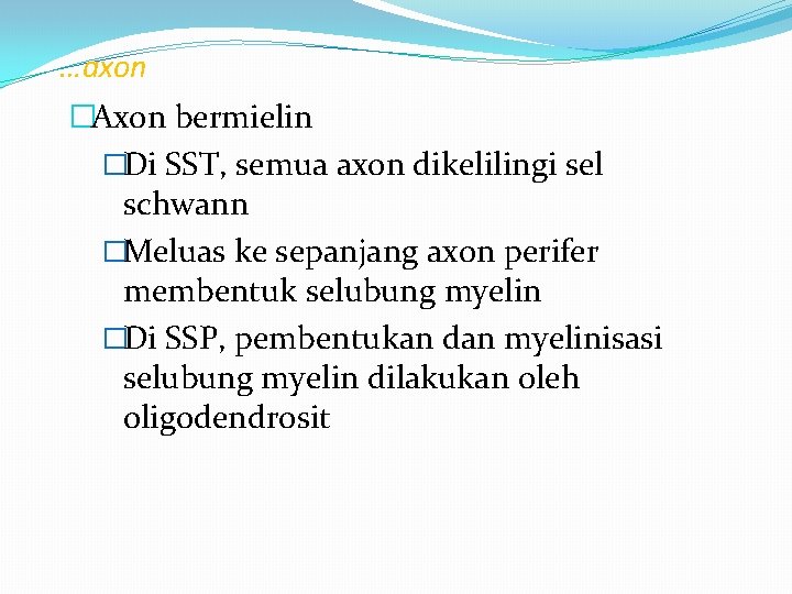 …axon �Axon bermielin �Di SST, semua axon dikelilingi sel schwann �Meluas ke sepanjang axon …axon �Axon bermielin �Di SST, semua axon dikelilingi sel schwann �Meluas ke sepanjang axon