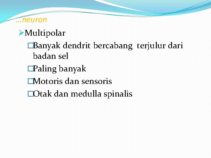 …neuron ØMultipolar �Banyak dendrit bercabang terjulur dari badan sel �Paling banyak �Motoris dan sensoris …neuron ØMultipolar �Banyak dendrit bercabang terjulur dari badan sel �Paling banyak �Motoris dan sensoris