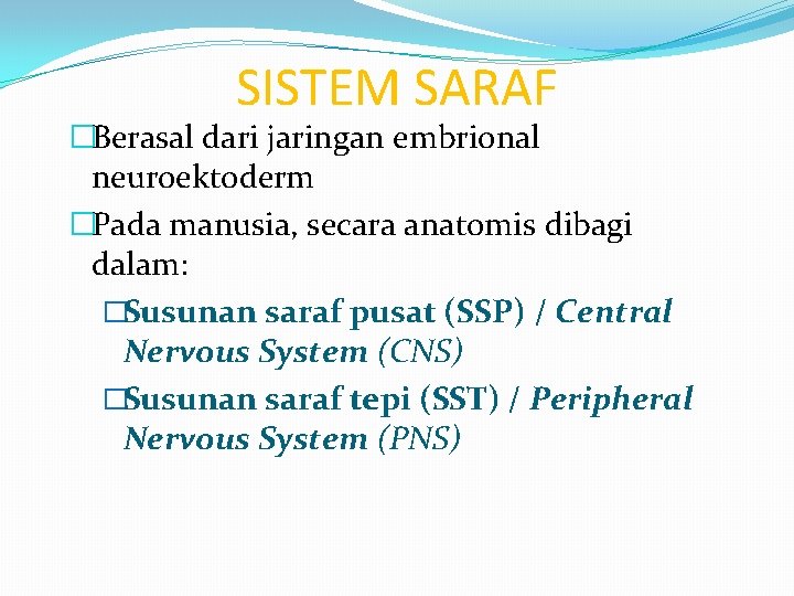 SISTEM SARAF �Berasal dari jaringan embrional neuroektoderm �Pada manusia, secara anatomis dibagi dalam: �Susunan SISTEM SARAF �Berasal dari jaringan embrional neuroektoderm �Pada manusia, secara anatomis dibagi dalam: �Susunan