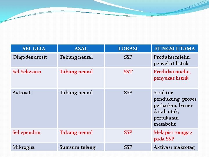 SEL GLIA ASAL LOKASI FUNGSI UTAMA Oligodendrosit Tabung neural SSP Produksi mielin, penyekat listrik SEL GLIA ASAL LOKASI FUNGSI UTAMA Oligodendrosit Tabung neural SSP Produksi mielin, penyekat listrik
