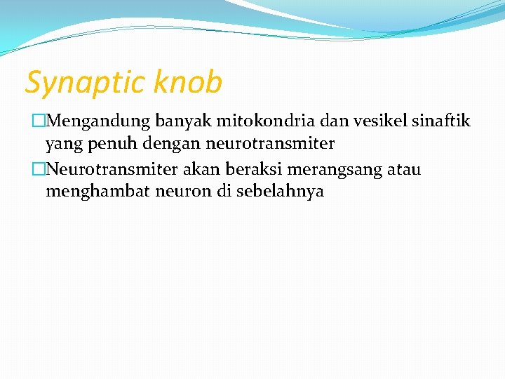 Synaptic knob �Mengandung banyak mitokondria dan vesikel sinaftik yang penuh dengan neurotransmiter �Neurotransmiter akan Synaptic knob �Mengandung banyak mitokondria dan vesikel sinaftik yang penuh dengan neurotransmiter �Neurotransmiter akan