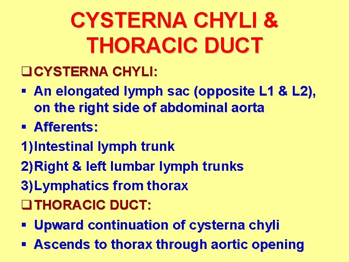 CYSTERNA CHYLI & THORACIC DUCT q CYSTERNA CHYLI: § An elongated lymph sac (opposite CYSTERNA CHYLI & THORACIC DUCT q CYSTERNA CHYLI: § An elongated lymph sac (opposite