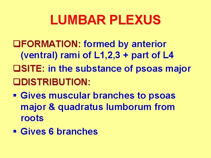 LUMBAR PLEXUS q. FORMATION: formed by anterior (ventral) rami of L 1, 2, 3 LUMBAR PLEXUS q. FORMATION: formed by anterior (ventral) rami of L 1, 2, 3