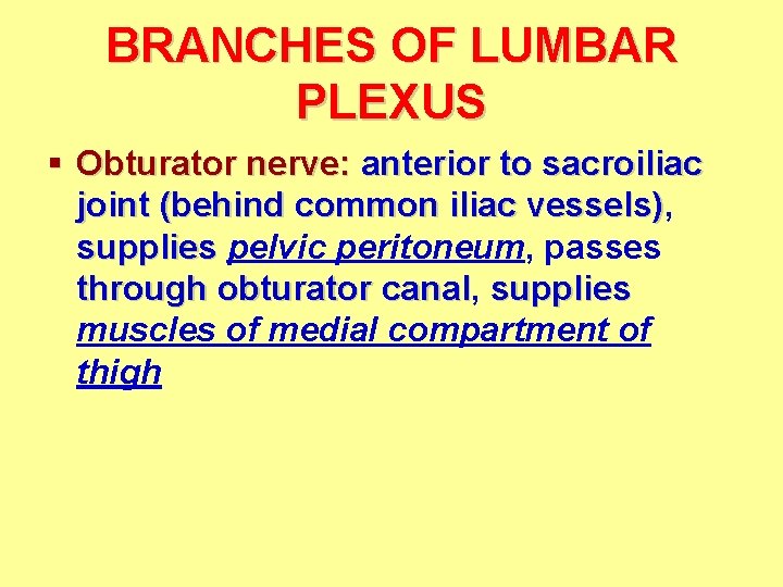 BRANCHES OF LUMBAR PLEXUS § Obturator nerve: anterior to sacroiliac joint (behind common iliac BRANCHES OF LUMBAR PLEXUS § Obturator nerve: anterior to sacroiliac joint (behind common iliac