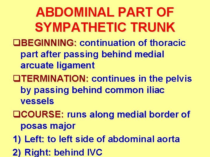 ABDOMINAL PART OF SYMPATHETIC TRUNK q. BEGINNING: continuation of thoracic part after passing behind ABDOMINAL PART OF SYMPATHETIC TRUNK q. BEGINNING: continuation of thoracic part after passing behind