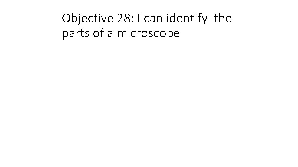 Objective 28: I can identify the parts of a microscope 