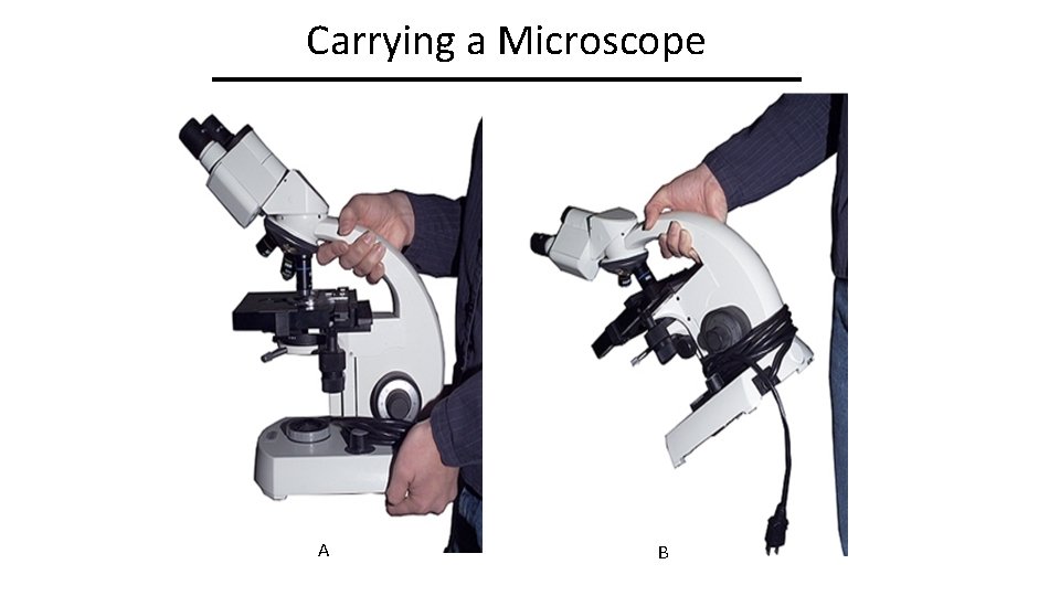Carrying a Microscope A B 