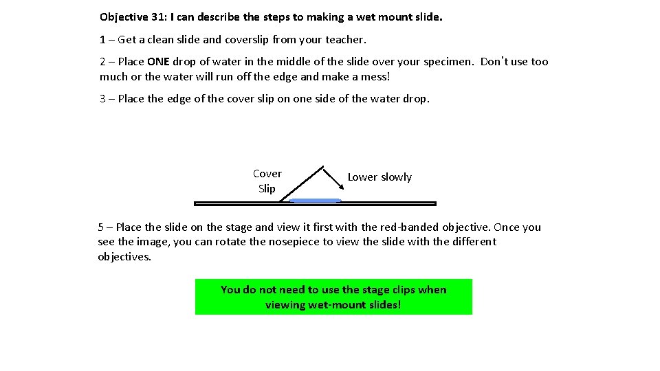 Objective 31: I can describe the steps to making a wet mount slide. 1