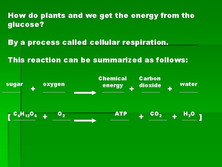 How do plants and we get the energy from the glucose? By a process