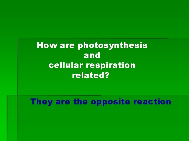 How are photosynthesis and cellular respiration related? They are the opposite reaction 