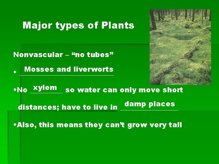 Major types of Plants Nonvascular – “no tubes” Mosses and liverworts • _____________ xylem