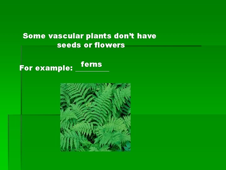 Some vascular plants don’t have seeds or flowers ferns For example: _____ 