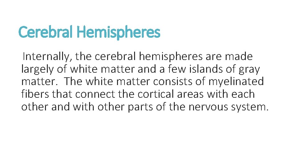Cerebral Hemispheres Internally, the cerebral hemispheres are made largely of white matter and a
