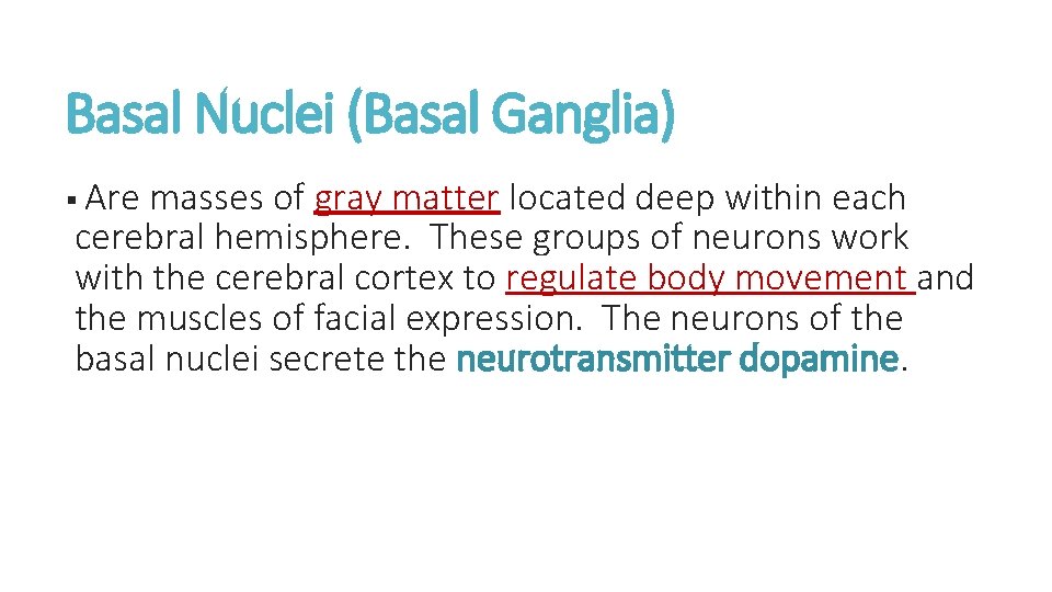Basal Nuclei (Basal Ganglia) § Are masses of gray matter located deep within each