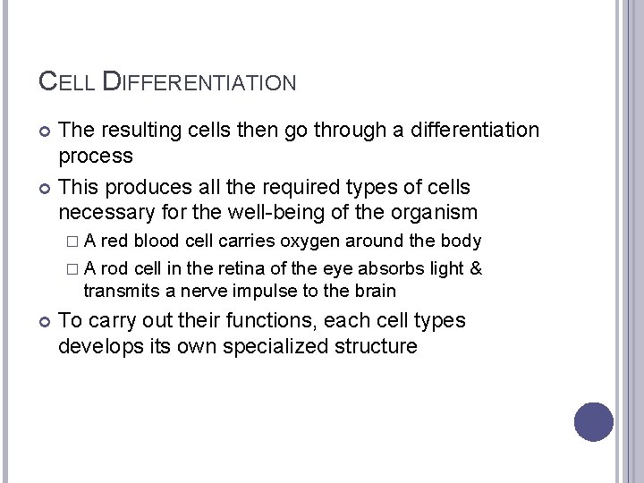 CELL DIFFERENTIATION The resulting cells then go through a differentiation process This produces all