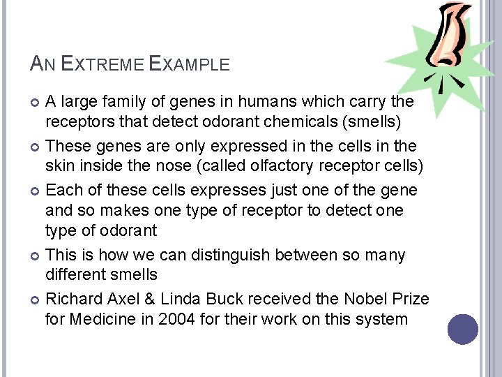 AN EXTREME EXAMPLE A large family of genes in humans which carry the receptors