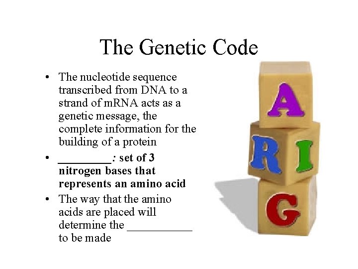 The Genetic Code • The nucleotide sequence transcribed from DNA to a strand of