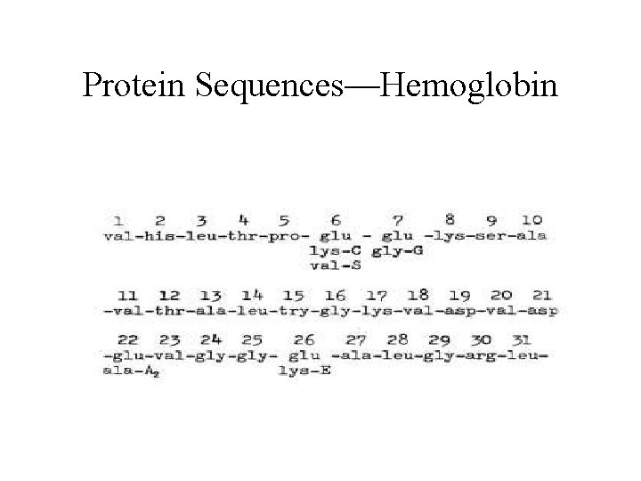 Protein Sequences—Hemoglobin 