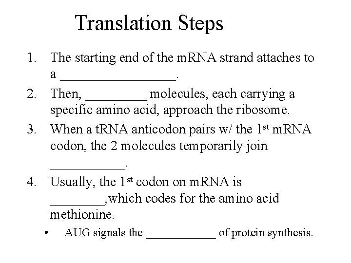 Translation Steps 1. The starting end of the m. RNA strand attaches to a