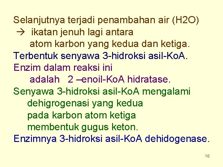 Selanjutnya terjadi penambahan air (H 2 O) ikatan jenuh lagi antara atom karbon yang