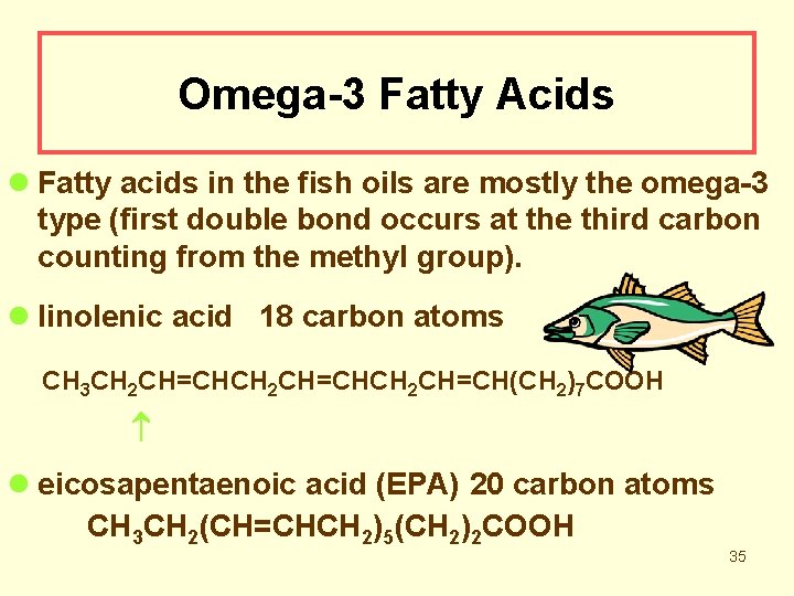 Omega-3 Fatty Acids l Fatty acids in the fish oils are mostly the omega-3