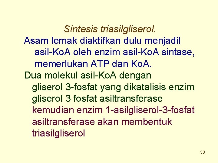 Sintesis triasilgliserol. Asam lemak diaktifkan dulu menjadil asil-Ko. A oleh enzim asil-Ko. A sintase,