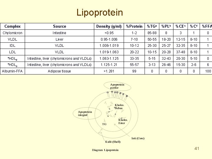 Lipoprotein Complex Source Density (g/ml) %Protein %TGa %PLb %CEc %Cd %FFA Chylomicron Intestine <0.