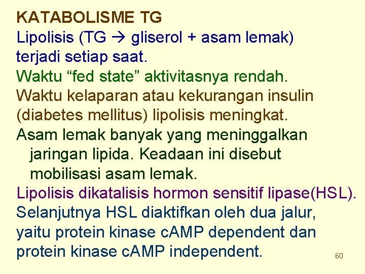 KATABOLISME TG Lipolisis (TG gliserol + asam lemak) terjadi setiap saat. Waktu “fed state”