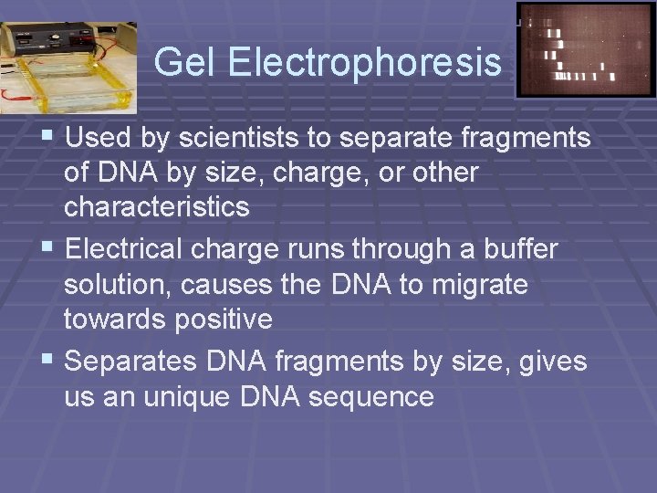 MK+K-A+A-L Gel Electrophoresis § Used by scientists to separate fragments of DNA by size,
