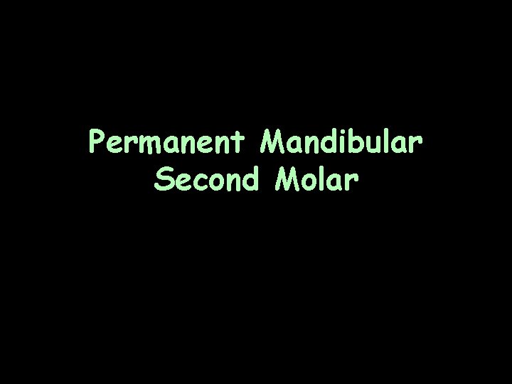 Permanent Mandibular Second Molar 