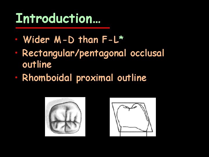 Introduction… • Wider M-D than F-L* • Rectangular/pentagonal occlusal outline • Rhomboidal proximal outline