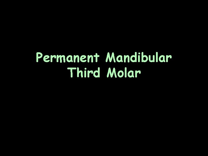 Permanent Mandibular Third Molar 