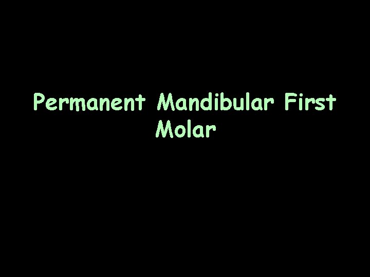 Permanent Mandibular First Molar 