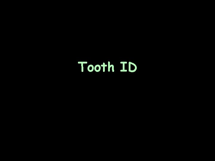 Tooth ID 