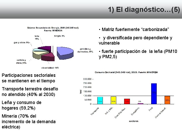 1) El diagnóstico…(5) • Matriz fuertemente “carbonizada” • y diversificada pero dependiente y vulnerable