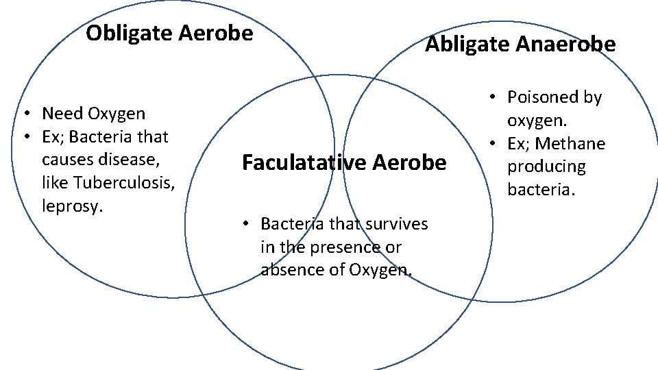 Obligate Aerobe • Need Oxygen • Ex; Bacteria that causes disease, like Tuberculosis, leprosy.