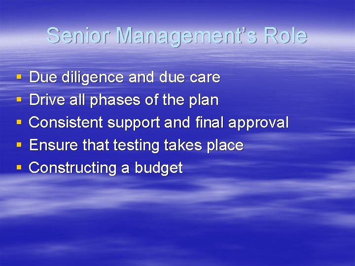Senior Management’s Role § § § Due diligence and due care Drive all phases
