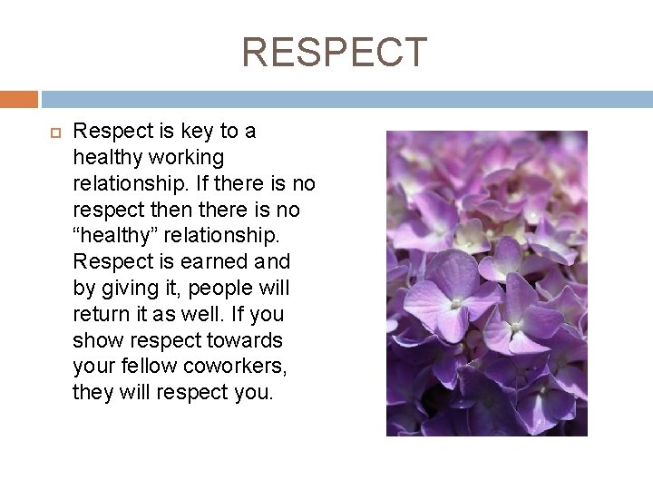 RESPECT Respect is key to a healthy working relationship. If there is no respect