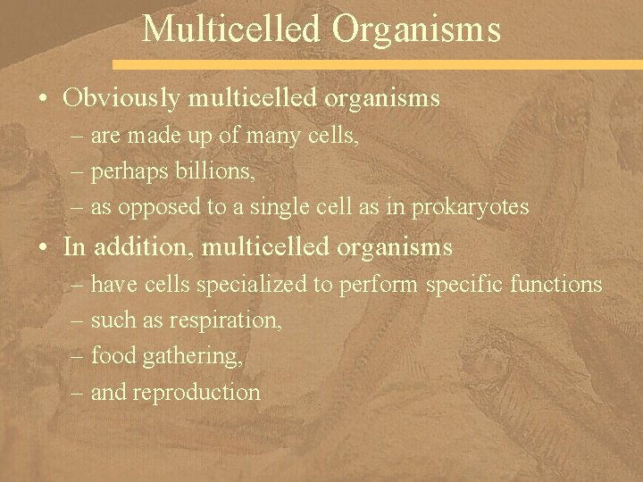 Multicelled Organisms • Obviously multicelled organisms – are made up of many cells, –