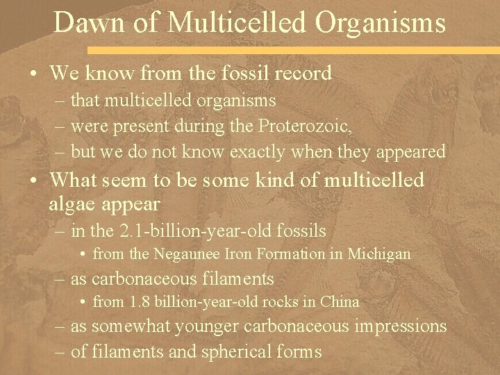 Dawn of Multicelled Organisms • We know from the fossil record – that multicelled