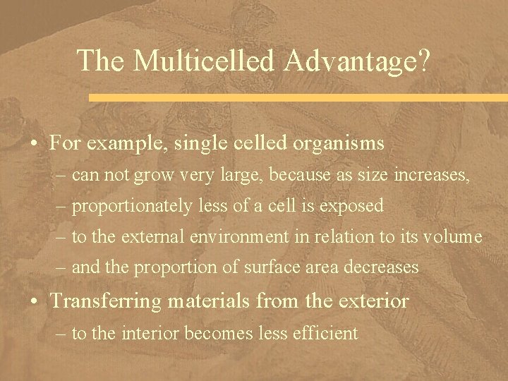 The Multicelled Advantage? • For example, single celled organisms – can not grow very