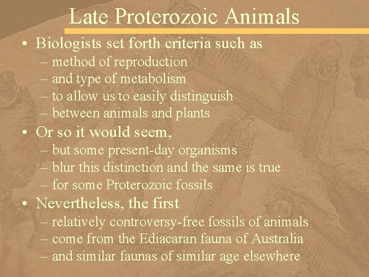 Late Proterozoic Animals • Biologists set forth criteria such as – method of reproduction
