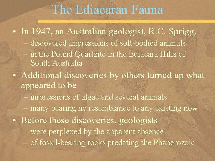 The Ediacaran Fauna • In 1947, an Australian geologist, R. C. Sprigg, – discovered