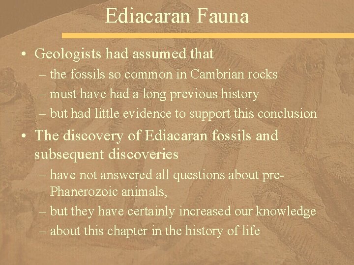 Ediacaran Fauna • Geologists had assumed that – the fossils so common in Cambrian