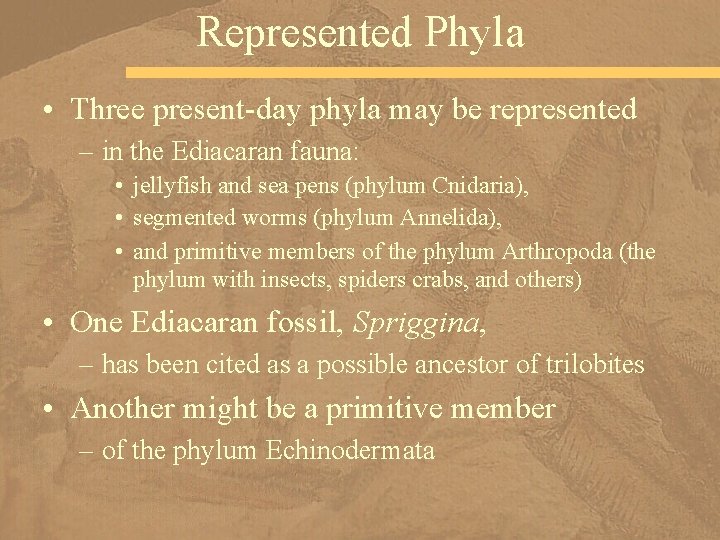 Represented Phyla • Three present-day phyla may be represented – in the Ediacaran fauna:
