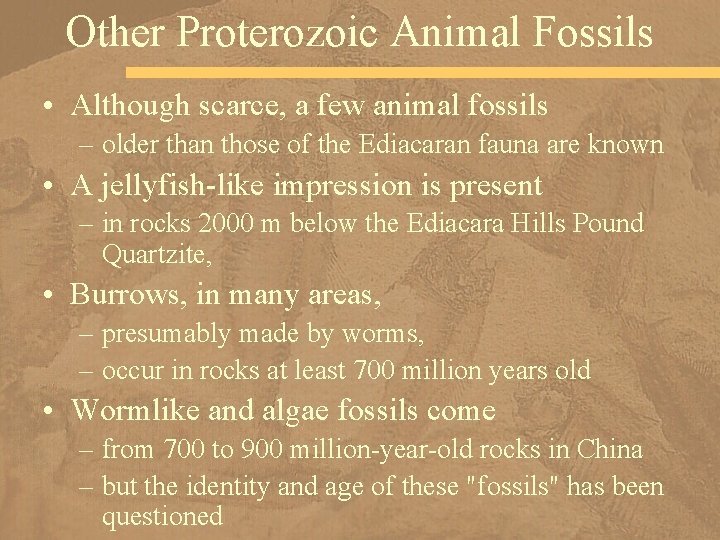 Other Proterozoic Animal Fossils • Although scarce, a few animal fossils – older than