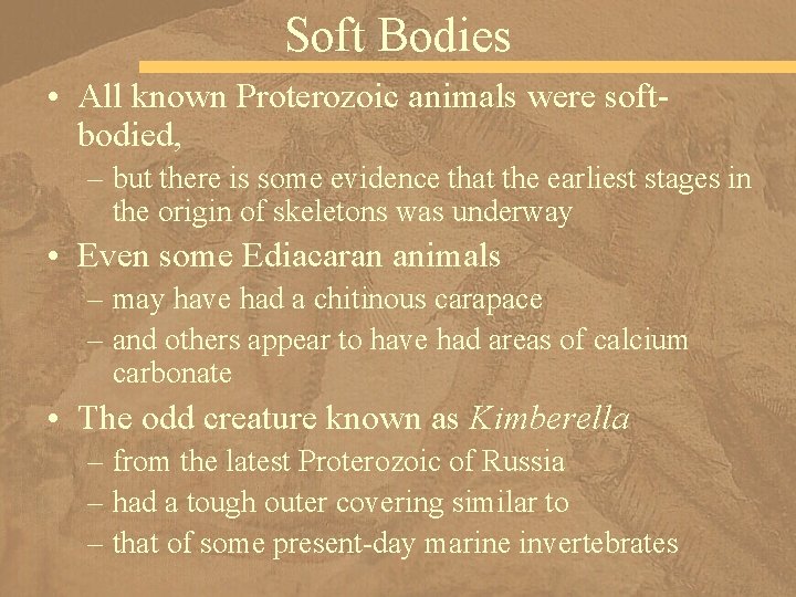 Soft Bodies • All known Proterozoic animals were softbodied, – but there is some
