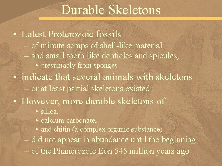 Durable Skeletons • Latest Proterozoic fossils – of minute scraps of shell-like material –